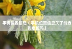 手机位置信息（手机位置信息关了能查到定位吗）