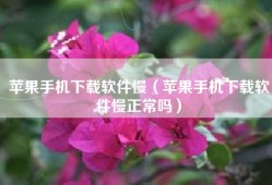 苹果手机下载软件慢（苹果手机下载软件慢正常吗）