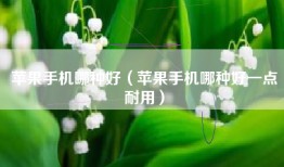 苹果手机哪种好（苹果手机哪种好一点耐用）