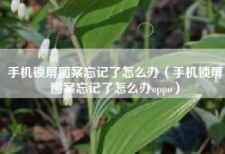 手机锁屏图案忘记了怎么办（手机锁屏图案忘记了怎么办oppo）