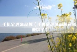 手机处理器品牌（手机处理器品牌有哪些牌子）