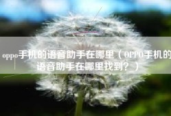 oppo手机的语音助手在哪里（OPPO手机的语音助手在哪里找到？）