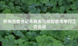 忻州市委书记朱晓东与师彭震伟举行工作会谈