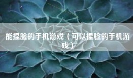 能捏脸的手机游戏（可以捏脸的手机游戏）