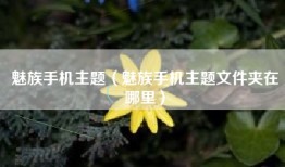 魅族手机主题（魅族手机主题文件夹在哪里）