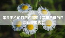 苹果手机的日历在哪里（苹果手机的日历在哪里找）