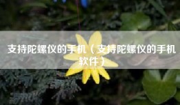 支持陀螺仪的手机（支持陀螺仪的手机软件）