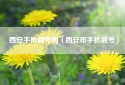 西安手机靓号网（西安市手机靓号）