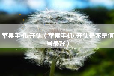 苹果手机c开头（苹果手机C开头是不是信号最好）