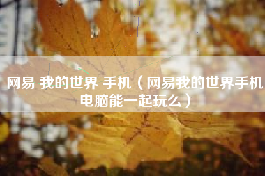 网易 我的世界 手机（网易我的世界手机电脑能一起玩么）