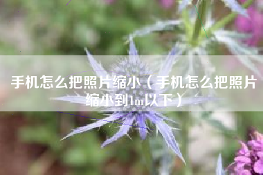 手机怎么把照片缩小（手机怎么把照片缩小到1m以下）