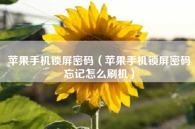 苹果手机锁屏密码（苹果手机锁屏密码忘记怎么刷机）