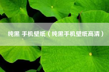 纯黑 手机壁纸（纯黑手机壁纸高清）