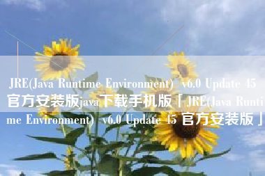 JRE(Java Runtime Environment)  v6.0 Update 45 官方安装版java下载手机版「JRE(Java Runtime Environment)  v6.0 Update 45 官方安装版」