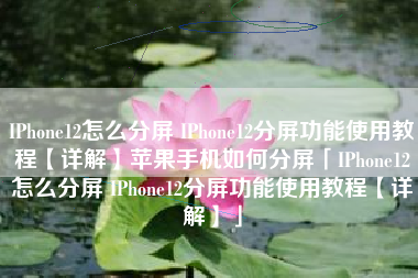 IPhone12怎么分屏 IPhone12分屏功能使用教程【详解】苹果手机如何分屏「IPhone12怎么分屏 IPhone12分屏功能使用教程【详解】」